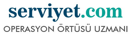 Serviyet
